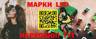 PSILOCYBIN Камышлов