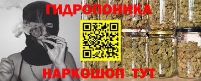 PSILOCYBIN Камышлов
