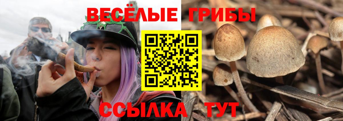 Кунгур  Галлюциногенные грибы мухоморы  Вход с VPN  наркота  Псилоцибиновые грибы мицелий 